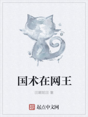 国术在网王